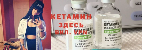 сатива Нязепетровск