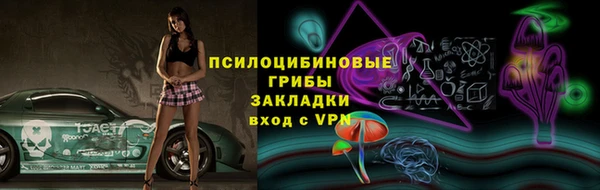метадон Алексин